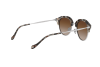 Lunettes de soleil Giorgio Armani AR 8117 (564813)