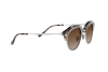 Lunettes de soleil Giorgio Armani AR 8117 (564813)