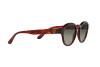 Sunglasses Giorgio Armani AR 8146 (596271)