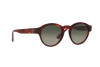 Sunglasses Giorgio Armani AR 8146 (596271)