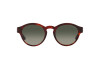 Sunglasses Giorgio Armani AR 8146 (596271)