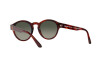 Sunglasses Giorgio Armani AR 8146 (596271)