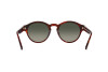Sunglasses Giorgio Armani AR 8146 (596271)