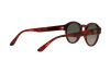 Sunglasses Giorgio Armani AR 8146 (596271)