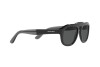 Sunglasses Giorgio Armani AR 8173 (500187)