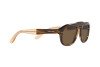 Sunglasses Giorgio Armani AR 8173 (595873)