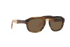 Sunglasses Giorgio Armani AR 8173 (595873)