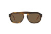 Sunglasses Giorgio Armani AR 8173 (595873)