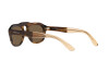 Sunglasses Giorgio Armani AR 8173 (595873)