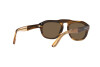 Sunglasses Giorgio Armani AR 8173 (595873)