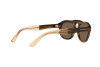 Sunglasses Giorgio Armani AR 8173 (595873)