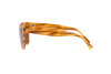 Lunettes de soleil Giorgio Armani AR 8177 (592173)