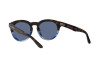 Occhiali da Sole Giorgio Armani AR 8189U (600880)