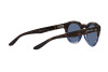 Occhiali da Sole Giorgio Armani AR 8189U (600880)