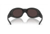 Sunglasses Giorgio Armani AR 8201Q (50426Q)