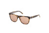 Sonnenbrille Guess GU00075 (53E)