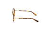 Brille Guess GU2906 (053)