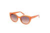 Lunettes de soleil Guess GU7909 (44F)