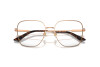 Brille Jimmy Choo JC 2001B (3008)