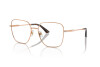 Brille Jimmy Choo JC 2001B (3008)