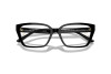 Brille Jimmy Choo JC 3008 (5000)