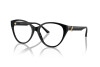 Brille Jimmy Choo JC 3009 (5000)