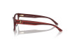 Eyeglasses Jimmy Choo JC 3016 (5013)