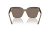 Sunglasses Jimmy Choo JC 5003 (50405A)