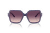 Sunglasses Jimmy Choo JC 5005 (50447W)