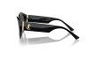 Sunglasses Jimmy Choo JC 5013U (50008G)