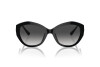 Sunglasses Jimmy Choo JC 5013U (50008G)