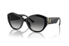 Sunglasses Jimmy Choo JC 5013U (50008G)