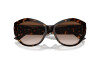 Sunglasses Jimmy Choo JC 5013U (500213)