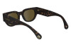 Sunglasses Lanvin LNV670S (234)