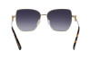 Lunettes de soleil Longchamp LO169S (723)