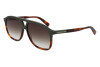 Lunettes de soleil Longchamp LO751S (320)