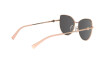 Lunettes de soleil Michael Kors La paz MK 1062 (11086G)