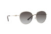 Lunettes de soleil Michael Kors Alpine MK 1119 (10148G)