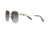 Lunettes de soleil Michael Kors Alpine MK 1119 (10148G)