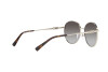 Lunettes de soleil Michael Kors Alpine MK 1119 (10148G)