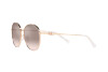 Lunettes de soleil Michael Kors Alpine MK 1119 (11088Z)