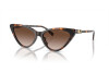 Lunettes de soleil Michael Kors Harbour Island MK 2195U (300613)