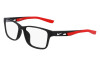 Brille Nike NIKE 5038 (006)