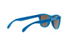 Солнцезащитные очки Oakley Frogskins OO 9013 (901355)