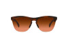 Солнцезащитные очки Oakley Frogskins Lite OO 9374 (937450)