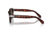 Lunettes de soleil Persol PO 0060S (24/31)