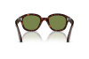 Zonnebril Persol PO 0060S (24/4E)