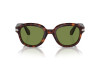 Zonnebril Persol PO 0060S (24/4E)