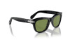 Sunglasses Persol PO 0086S (95/4E)