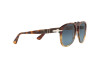 Sunglasses Persol PO 0649 (1158Q8)